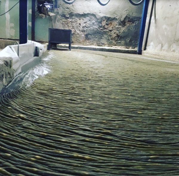 Savonnerie Le Sérail - Savon de Marseille19 Savonnerie Le Sérail - Savon de Marseille