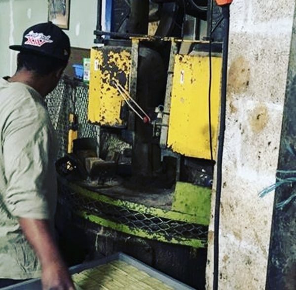 Savonnerie Le Sérail - Savon de Marseille34 Savonnerie Le Sérail - Savon de Marseille