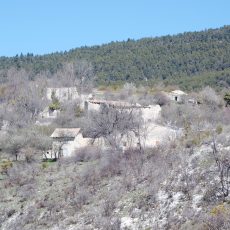 Le hameau de Douroulles Hameau de Douroulles en Haute-Provence terre de lavande