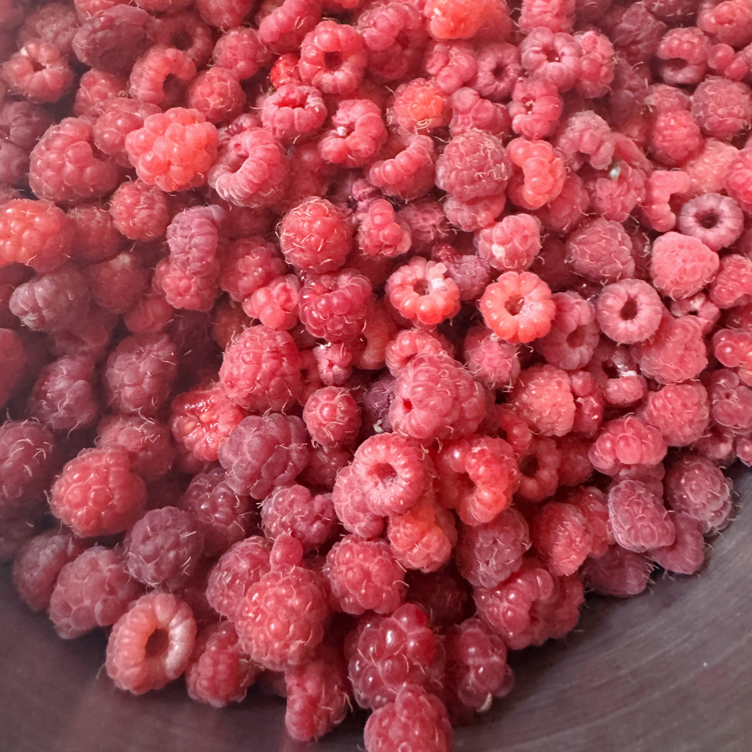 Framboises sauvages dans les Alpes de Haute-Provence