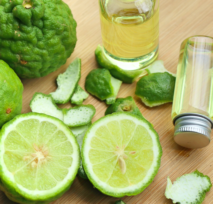 Bergamotes fraîches, zestes d'agrumes et huiles aromatiques inspirant la bougie parfumée Bergamote