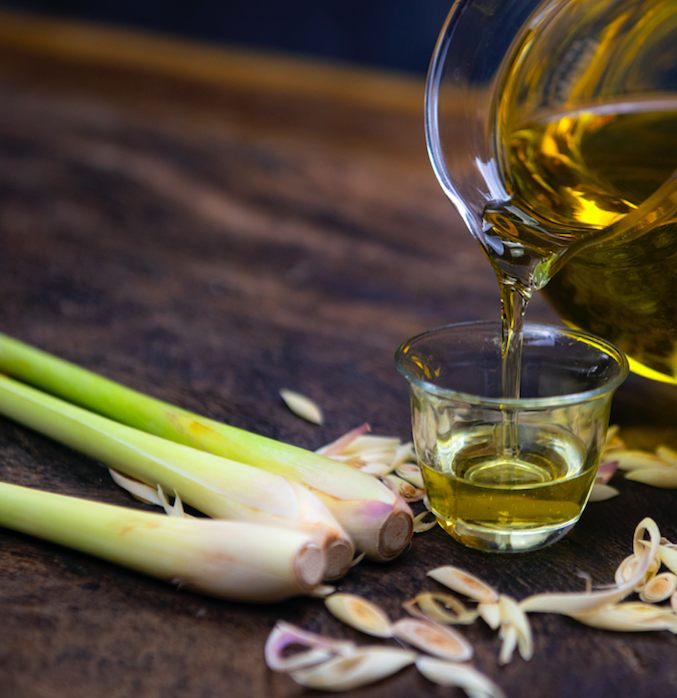 Tiges de citronnelle fraîche et huile aromatique inspirant la bougie parfumée Citronnelle