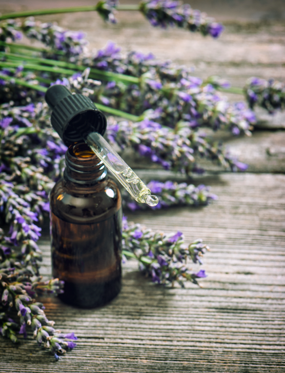 Flacon d'huile essentielle de lavandin et brins de lavande inspirant la bougie parfumée Lavande