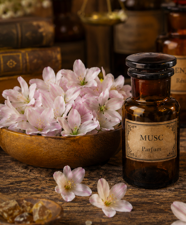 Fleurs blanches, benjoin et flacons d'apothicaire inspirant la bougie parfumée Musc